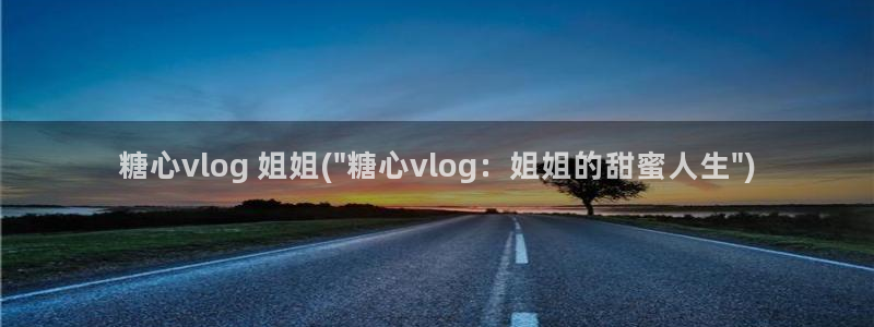 糖心vlog体尊:糖心vlog 姐姐(\