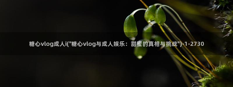 软件app糖心vlog:糖心vlog成人