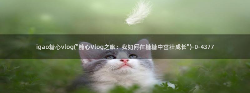 糖心vlog无法充值:igao糖心vlo